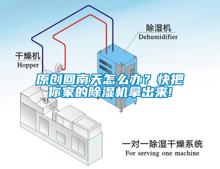 原创回南天怎么办？快把你家的麻豆视频黄网站拿出来!