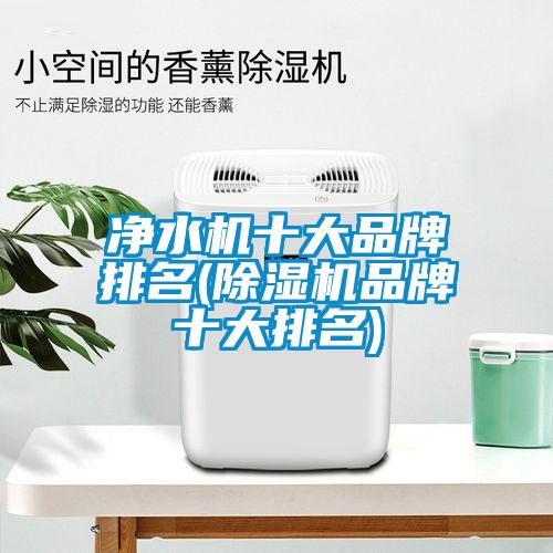 净水机十大品牌排名(麻豆视频黄网站品牌十大排名)