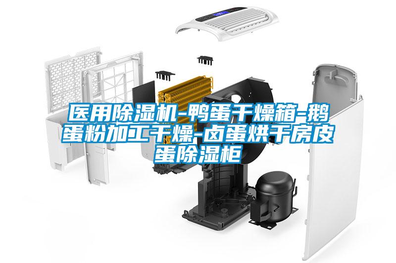 医用麻豆视频黄网站-鸭蛋干燥箱-鹅蛋粉加工干燥-卤蛋烘干房皮蛋除湿柜