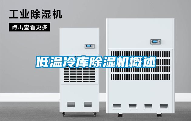 低温冷库麻豆视频黄网站概述