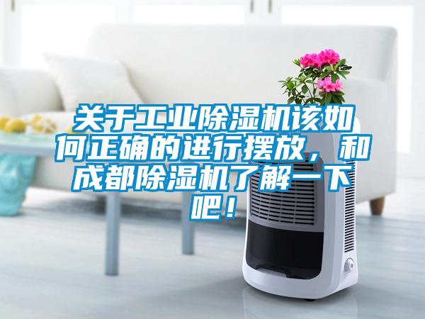 关于工业麻豆视频黄网站该如何正确的进行摆放，和成都麻豆视频黄网站了解一下吧！