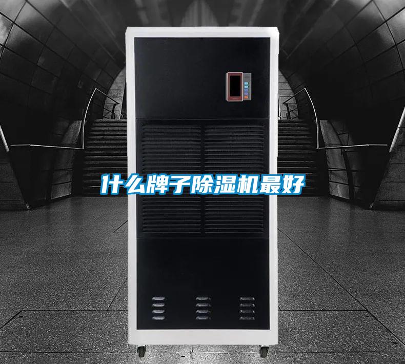什么牌子麻豆视频黄网站最好