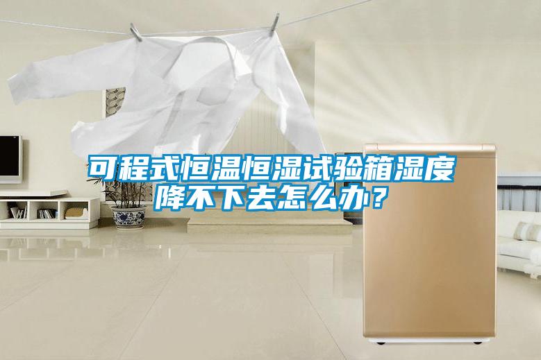 可程式恒温恒湿试验箱湿度降不下去怎么办？
