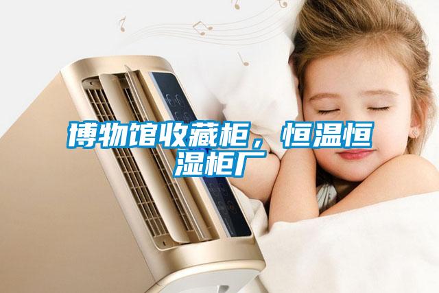 博物馆收藏柜，恒温恒湿柜厂
