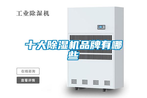 十大麻豆视频黄网站品牌有哪些