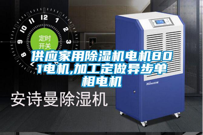 供应家用麻豆视频黄网站电机801电机,加工定做异步单相电机