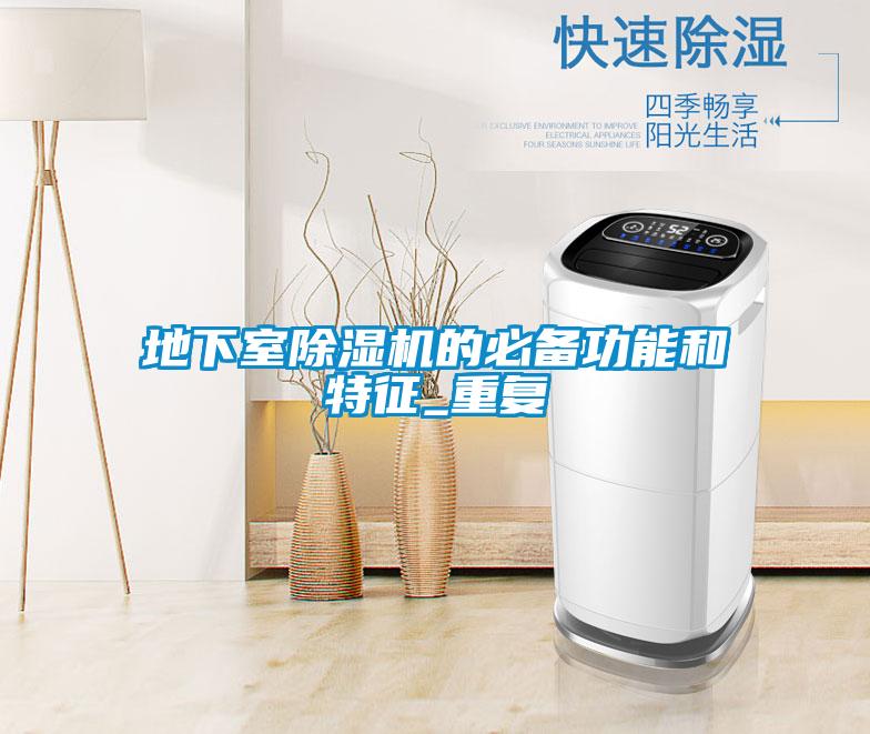 地下室麻豆视频黄网站的必备功能和特征_重复