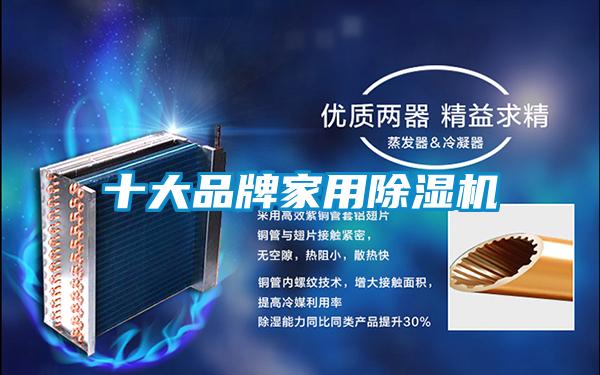 十大品牌家用麻豆视频黄网站