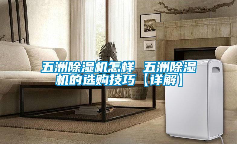 五洲麻豆视频黄网站怎样 五洲麻豆视频黄网站的选购技巧【详解】