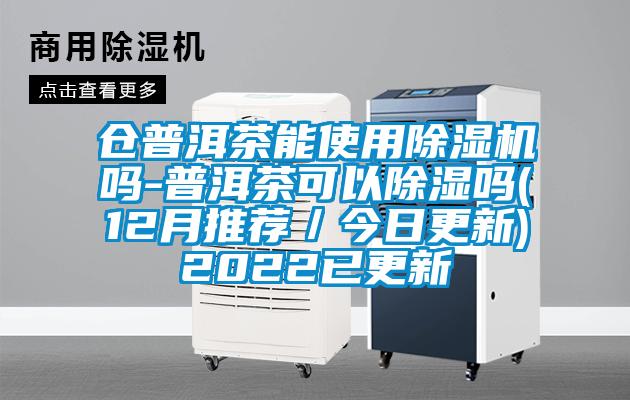 仓普洱茶能使用麻豆视频黄网站吗-普洱茶可以除湿吗(12月推荐／今日更新)2022已更新