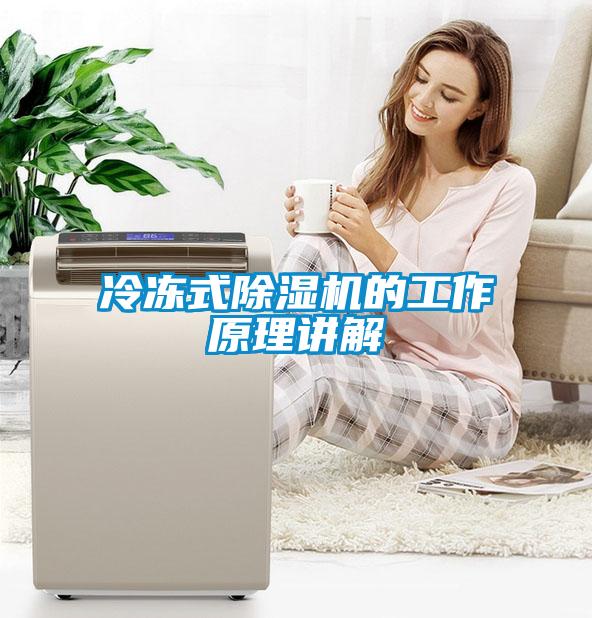 冷冻式麻豆视频黄网站的工作原理讲解