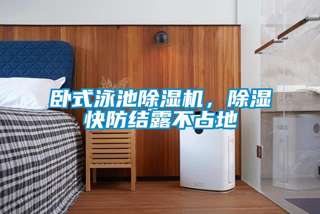 卧式泳池麻豆视频黄网站，除湿快防结露不占地