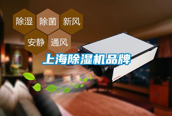 上海麻豆视频黄网站品牌