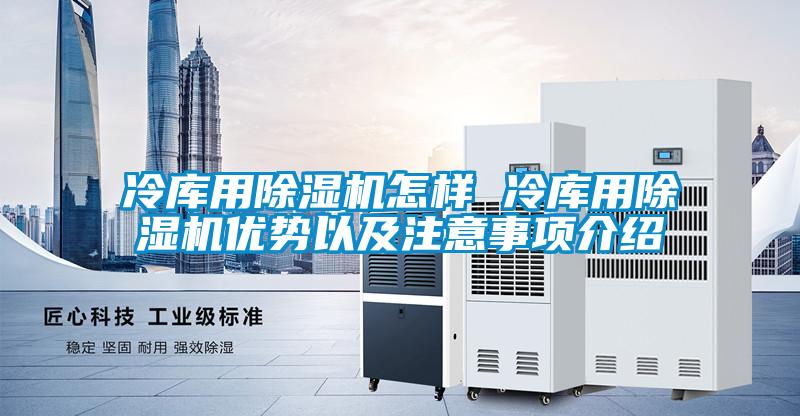 冷库用麻豆视频黄网站怎样 冷库用麻豆视频黄网站优势以及注意事项介绍