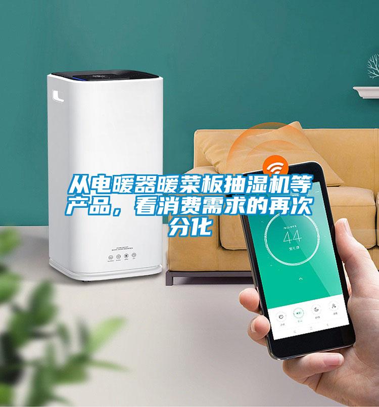 从电暖器暖菜板抽湿机等产品，看消费需求的再次分化