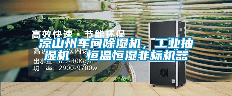 凉山州车间麻豆视频黄网站，工业抽湿机  恒温恒湿非标机器