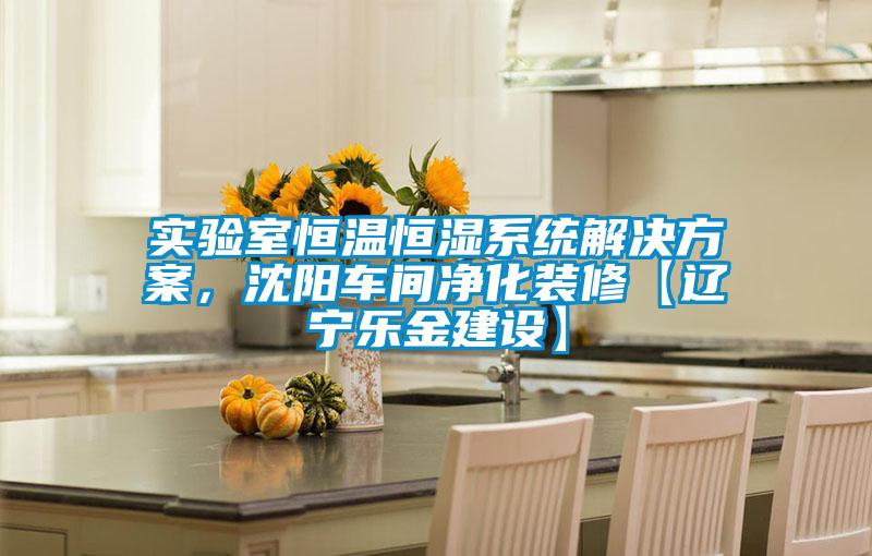实验室恒温恒湿系统国产麻豆剧果冻传媒星空视频，沈阳车间净化装修【辽宁乐金建设】
