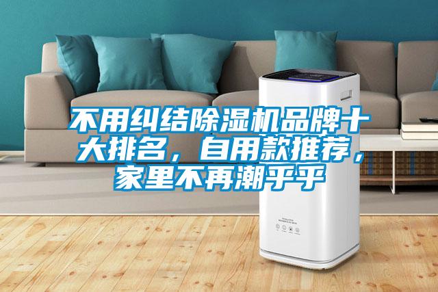 不用纠结麻豆视频黄网站品牌十大排名，自用款推荐，家里不再潮乎乎