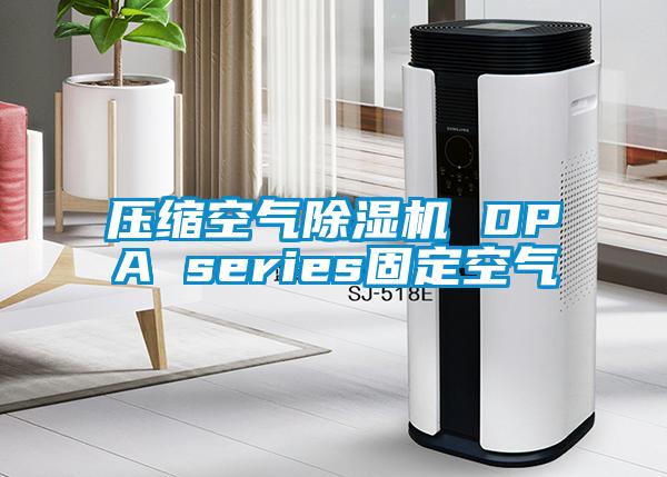 压缩空气麻豆视频黄网站 DPA series固定空气