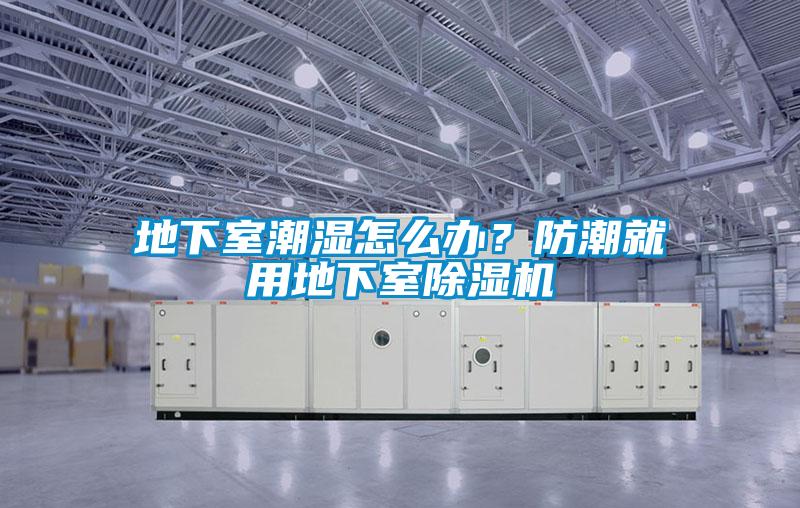 地下室潮湿怎么办？防潮就用地下室麻豆视频黄网站