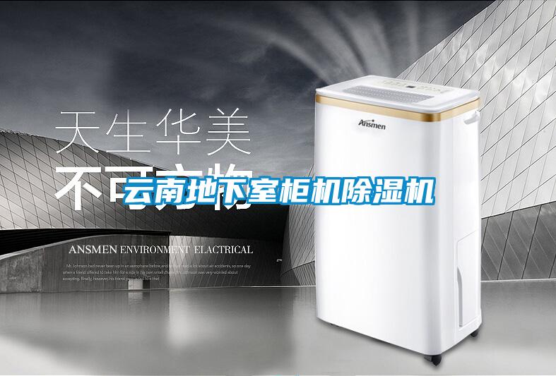 云南地下室柜机麻豆视频黄网站