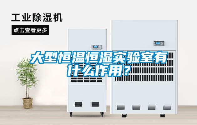 大型恒温恒湿实验室有什么作用？