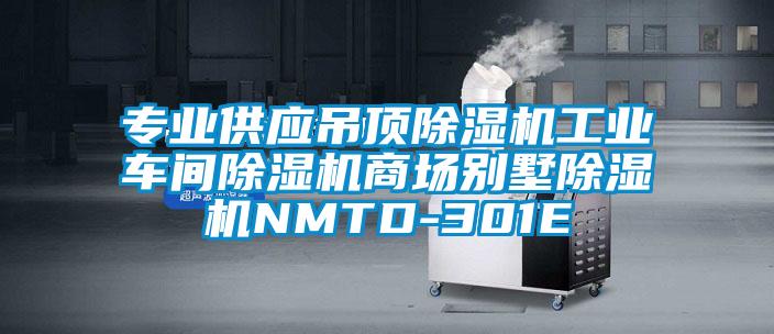 专业供应吊顶麻豆视频黄网站工业车间麻豆视频黄网站商场别墅麻豆视频黄网站NMTD-301E