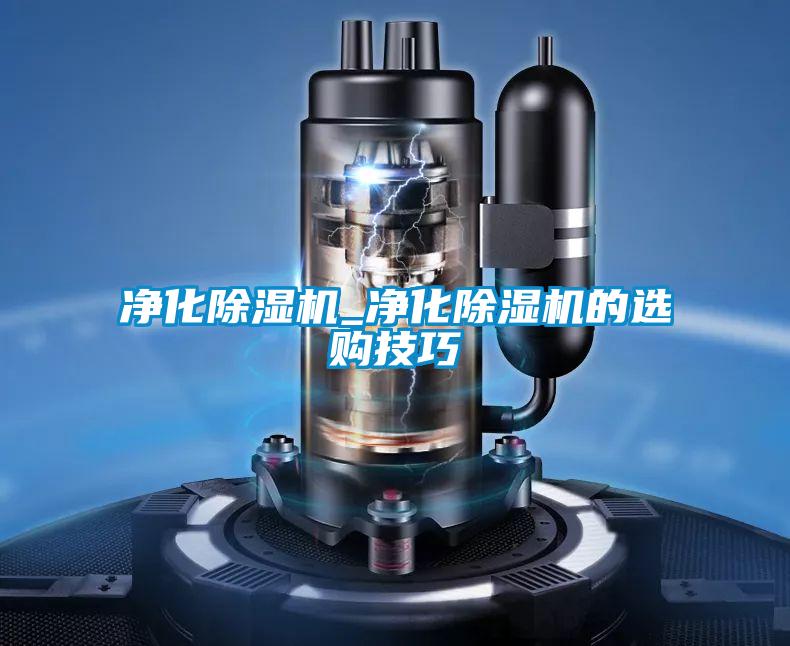 净化麻豆视频黄网站_净化麻豆视频黄网站的选购技巧
