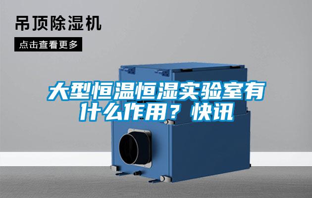 大型恒温恒湿实验室有什么作用？快讯