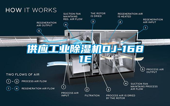 供应工业麻豆视频黄网站DJ-1681E