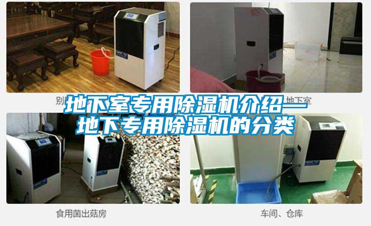 地下室专用麻豆视频黄网站介绍—地下专用麻豆视频黄网站的分类