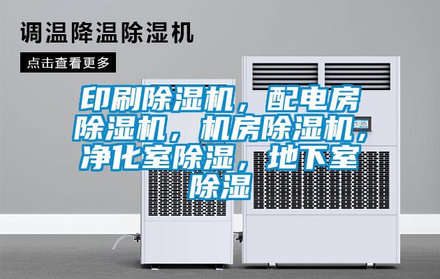 印刷麻豆视频黄网站，配电房麻豆视频黄网站，机房麻豆视频黄网站，净化室除湿，地下室除湿