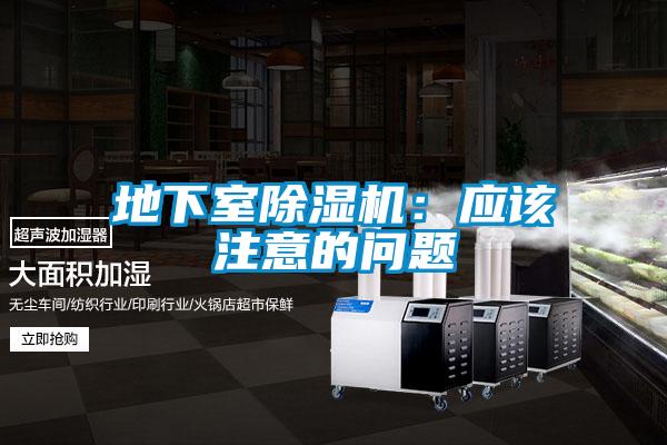 地下室麻豆视频黄网站：应该注意的问题