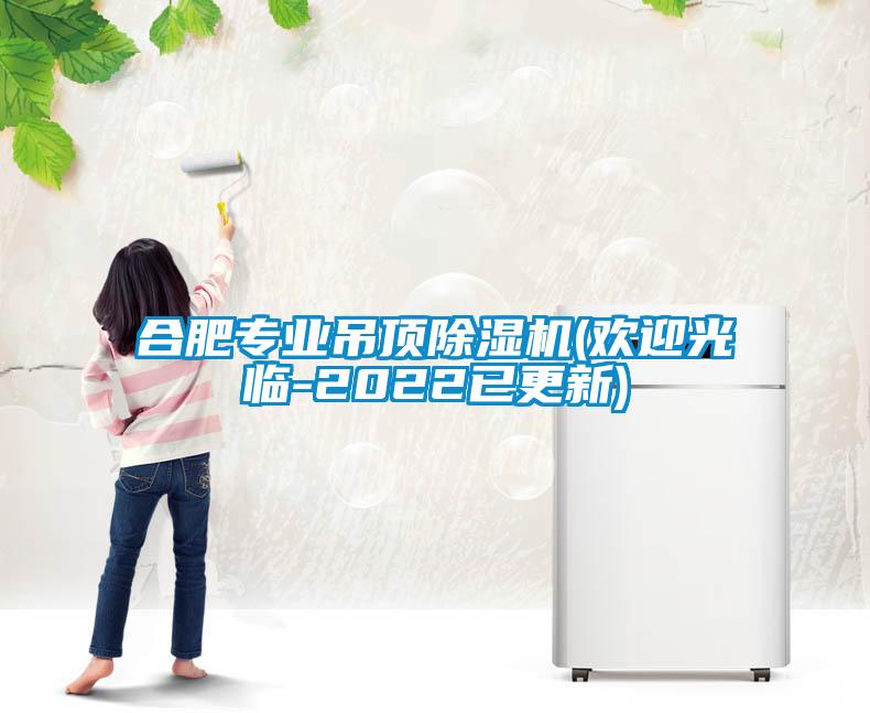 合肥专业吊顶麻豆视频黄网站(欢迎光临-2022已更新)