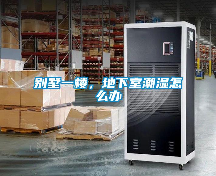 别墅一楼，地下室潮湿怎么办