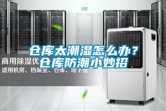 仓库太潮湿怎么办？仓库防潮小妙招