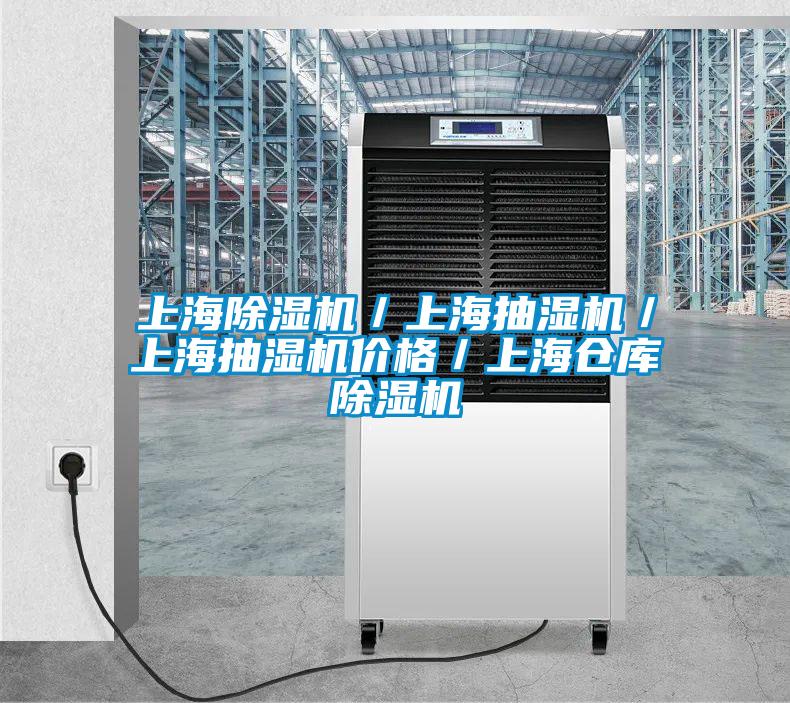 上海麻豆视频黄网站／上海抽湿机／上海抽湿机价格／上海仓库麻豆视频黄网站