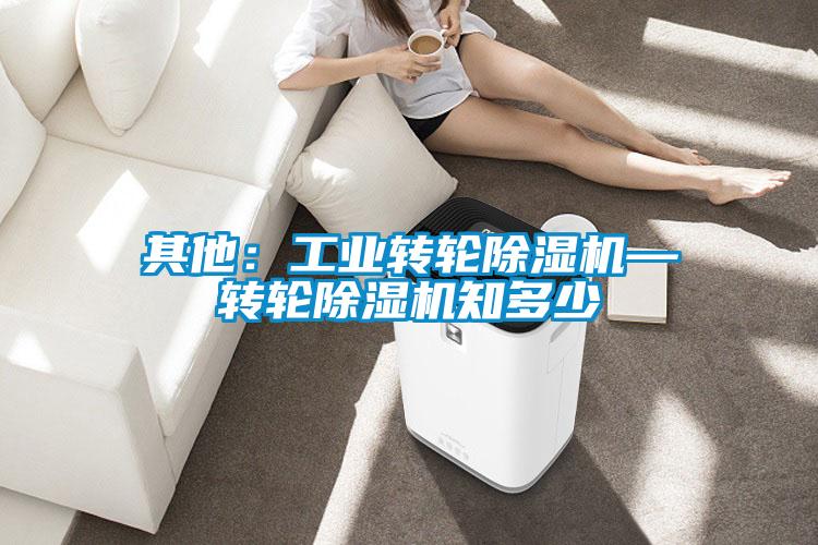 其他：工业转轮麻豆视频黄网站—转轮麻豆视频黄网站知多少
