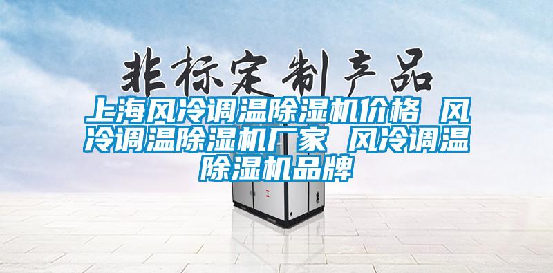 上海风冷调温麻豆视频黄网站价格 风冷调温麻豆视频黄网站厂家 风冷调温麻豆视频黄网站品牌