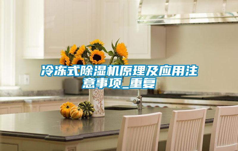 冷冻式麻豆视频黄网站原理及应用注意事项_重复
