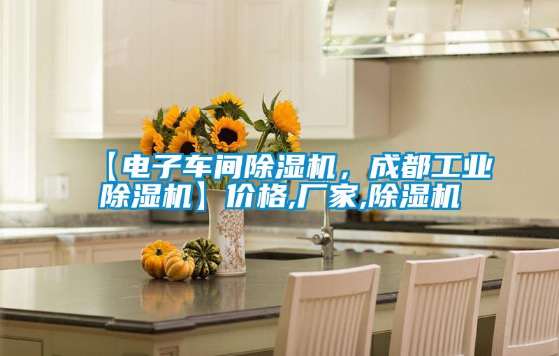 【电子车间麻豆视频黄网站，成都工业麻豆视频黄网站】价格,厂家,麻豆视频黄网站