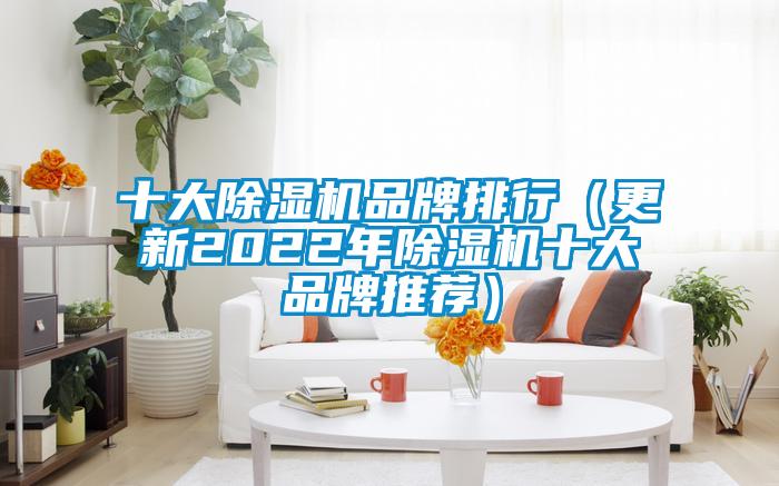 十大麻豆视频黄网站品牌排行（更新2022年麻豆视频黄网站十大品牌推荐）