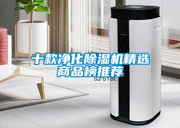 十款净化麻豆视频黄网站精选商品榜推荐