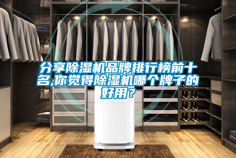 分享麻豆视频黄网站品牌排行榜前十名,你觉得麻豆视频黄网站哪个牌子的好用？