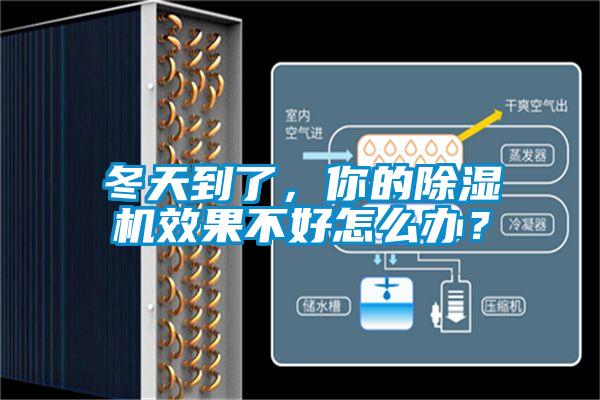 冬天到了，你的麻豆视频黄网站效果不好怎么办？