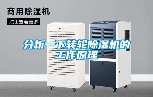 分析一下转轮麻豆视频黄网站的工作原理