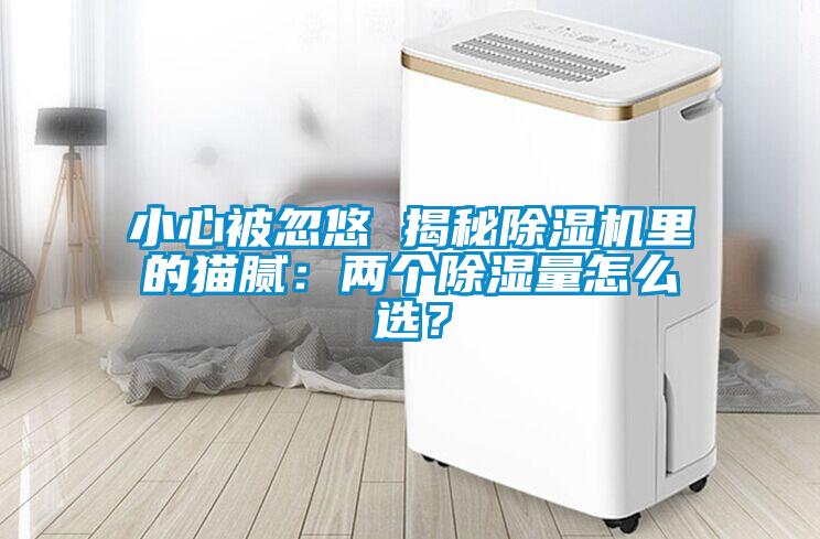 小心被忽悠 揭秘麻豆视频黄网站里的猫腻：两个除湿量怎么选？
