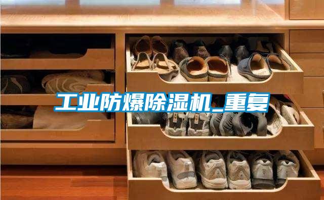 工业防爆麻豆视频黄网站_重复