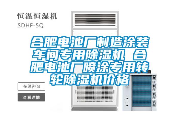 合肥电池厂制造涂装车间专用麻豆视频黄网站 合肥电池厂喷涂专用转轮麻豆视频黄网站价格