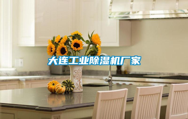 大连工业麻豆视频黄网站厂家